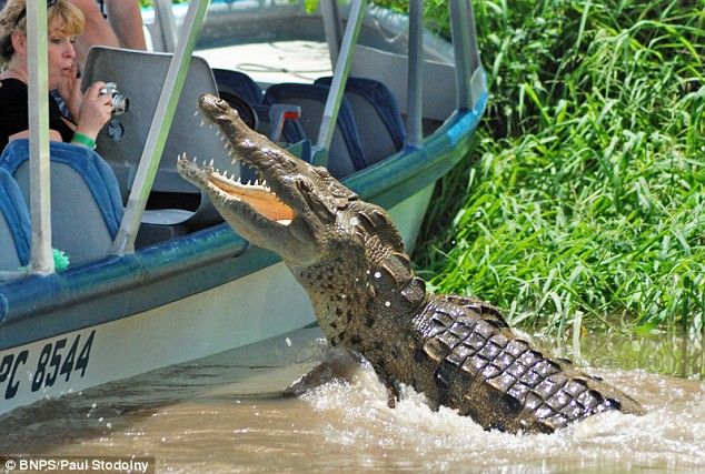 Daily picdump (127 pics)
