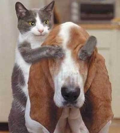 Daily picdump (127 pics)