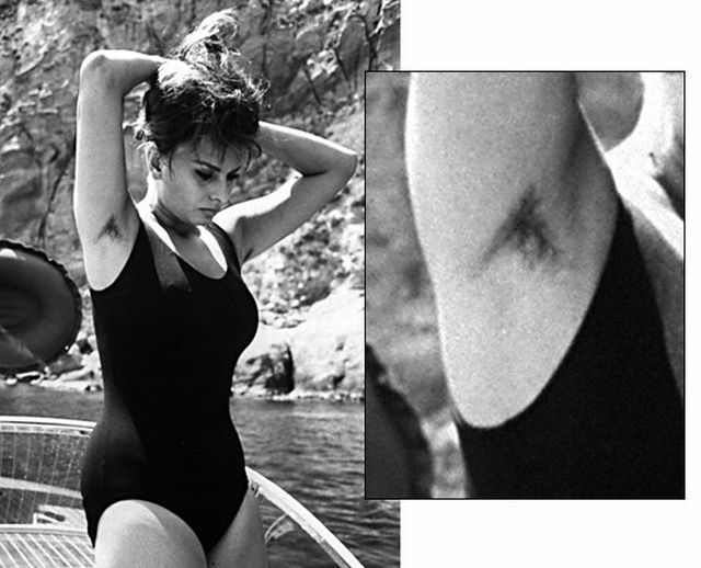 Hairy celebrities (15 pics)