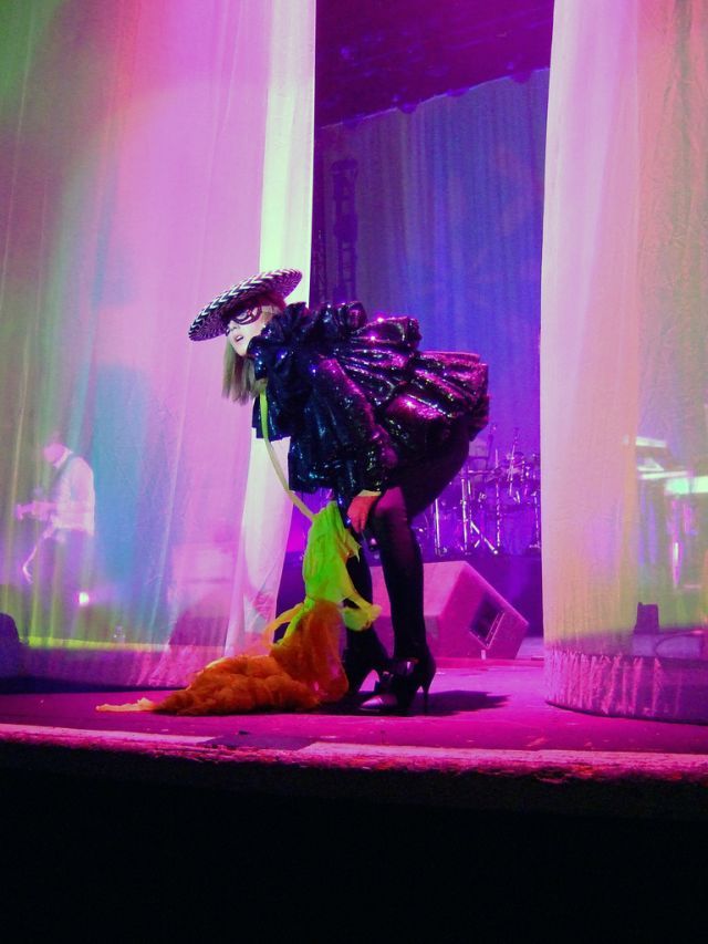Lady Gaga vs Roisin Murphy (39 pics)