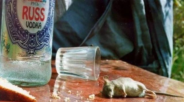 These crazy Russians (63 pics)