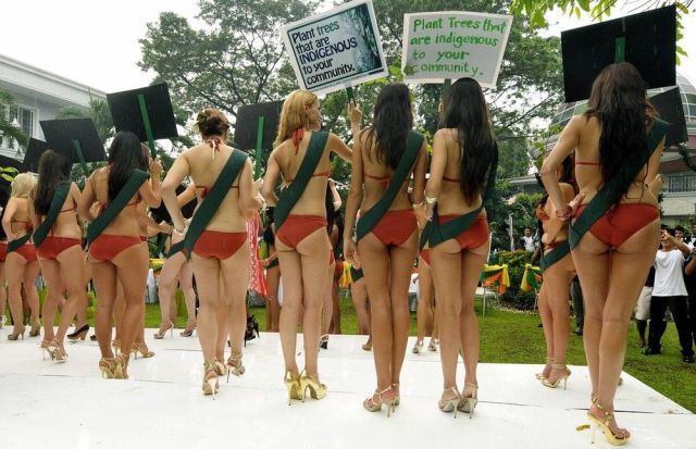 Miss World 2009 (106 pics)