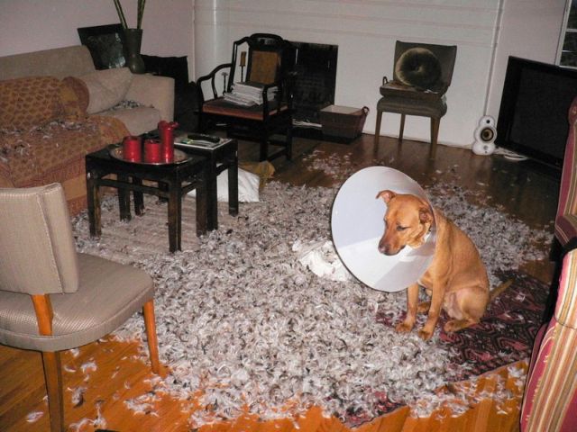 WTF Pictures Compilation. Part 2 (76 pics)