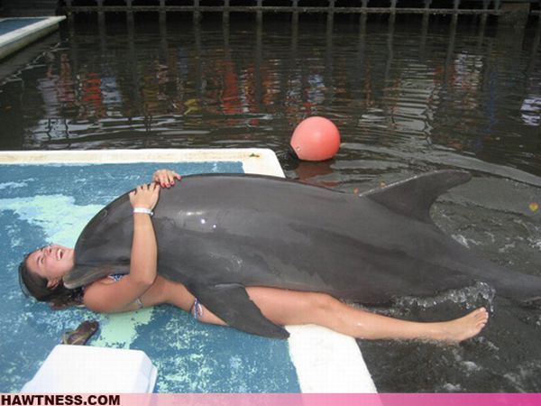 The Women of WTF. Part 2 (80 pics)