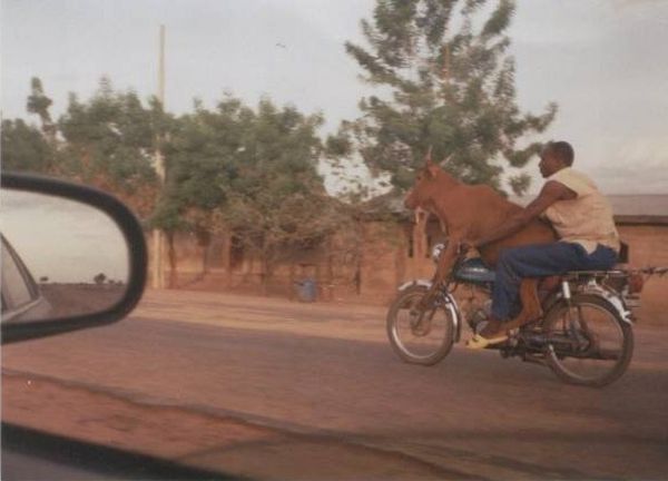 Daily picdump (115 pics)