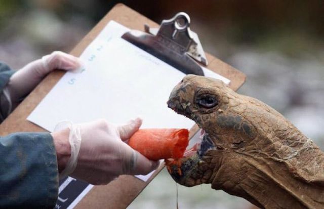 Daily picdump (120 pics)