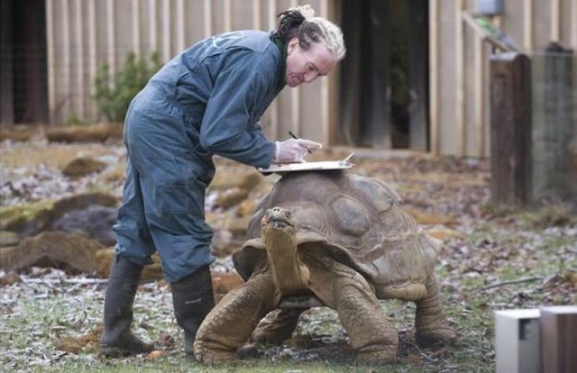 Daily picdump (120 pics)