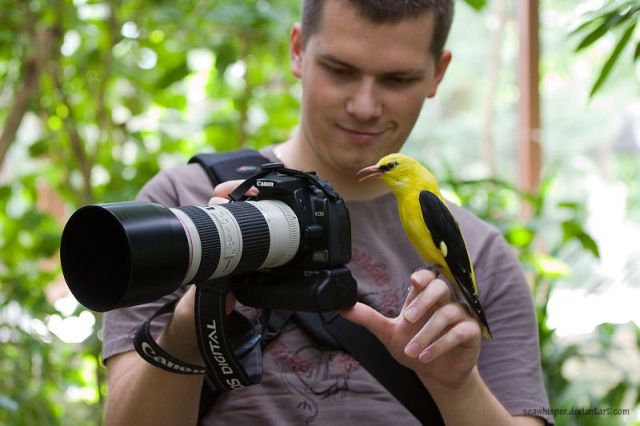 Daily picdump (108 pics)