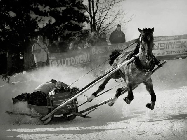 Daily picdump (108 pics)