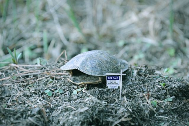 Daily picdump (108 pics)