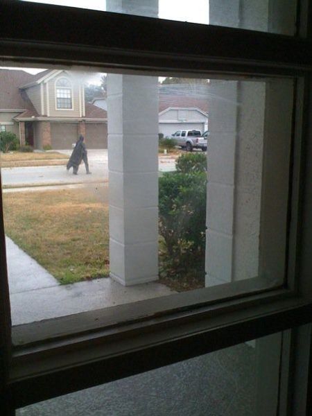 Daily picdump (108 pics)