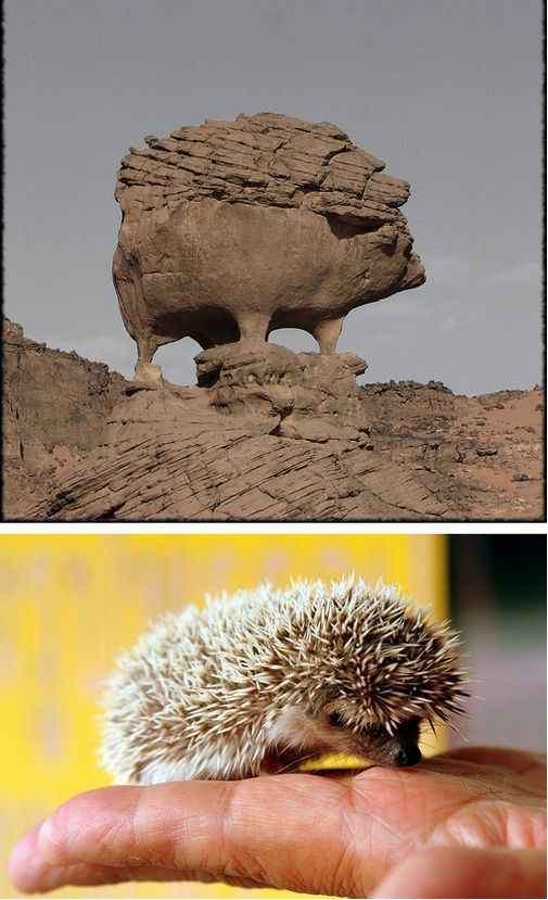 Daily picdump (108 pics)