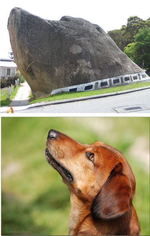 Daily picdump (108 pics)