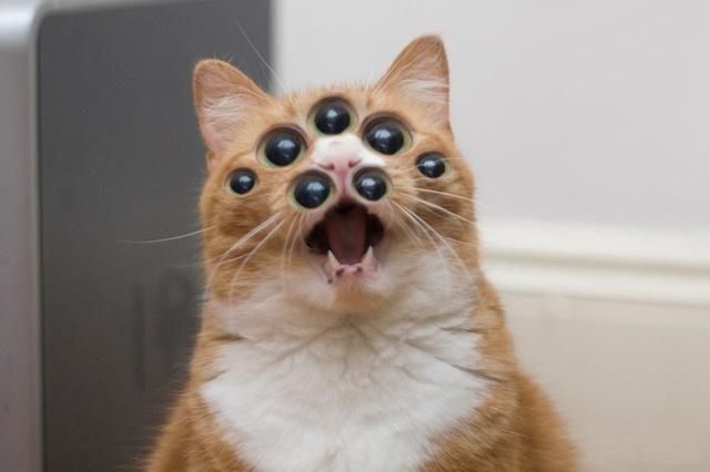 Daily picdump (108 pics)