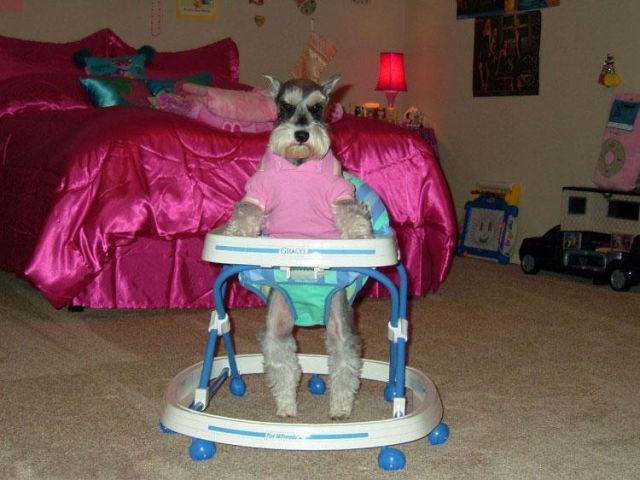 Daily picdump (120 pics)