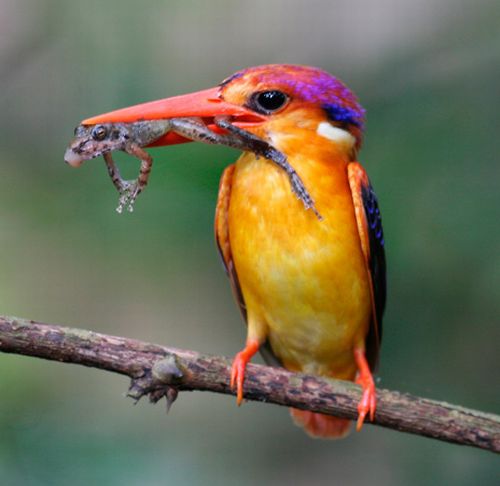 Daily picdump (120 pics)