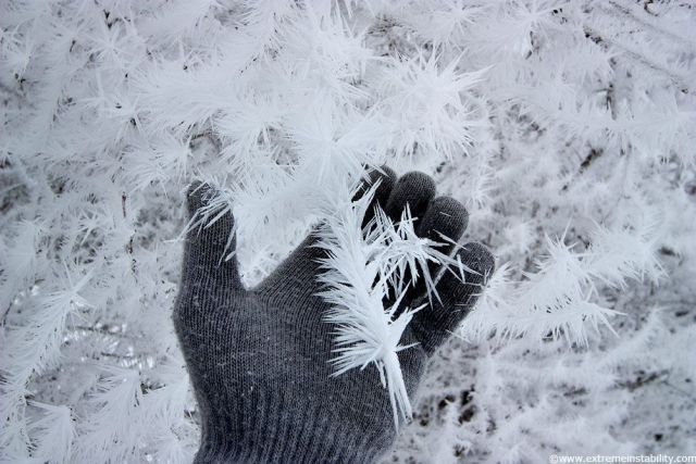 Daily picdump (120 pics)