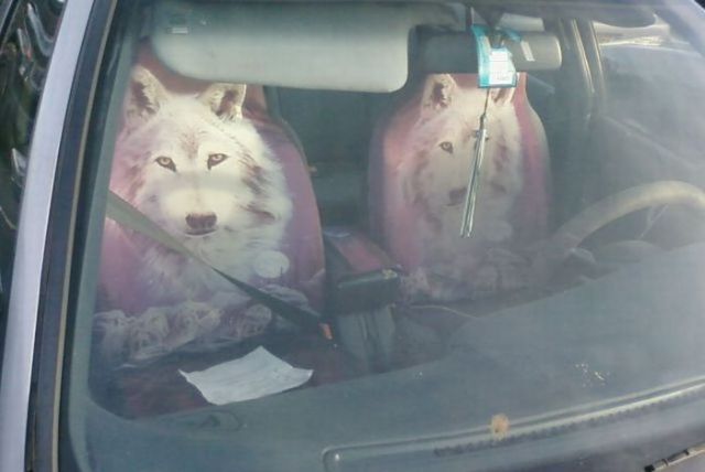 Daily picdump (120 pics)