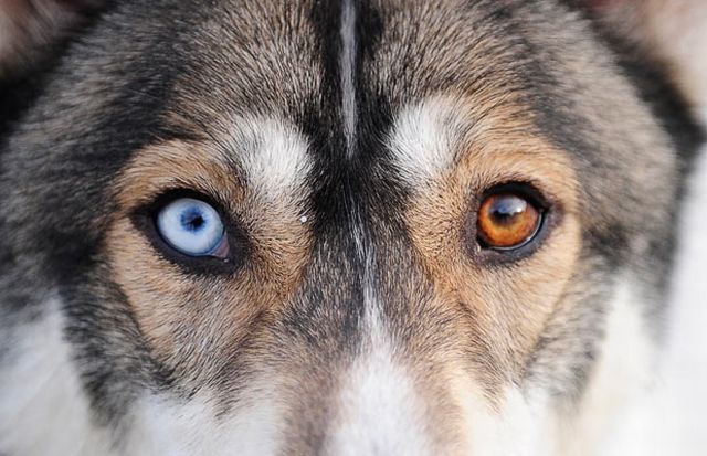 Daily picdump (173 pics)