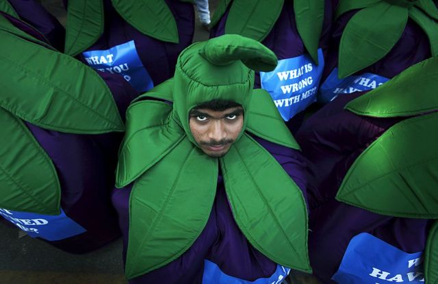 Daily picdump (173 pics)