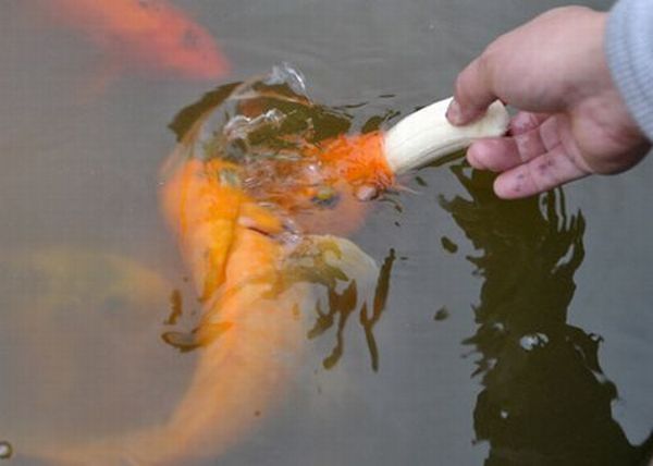 Daily picdump (173 pics)