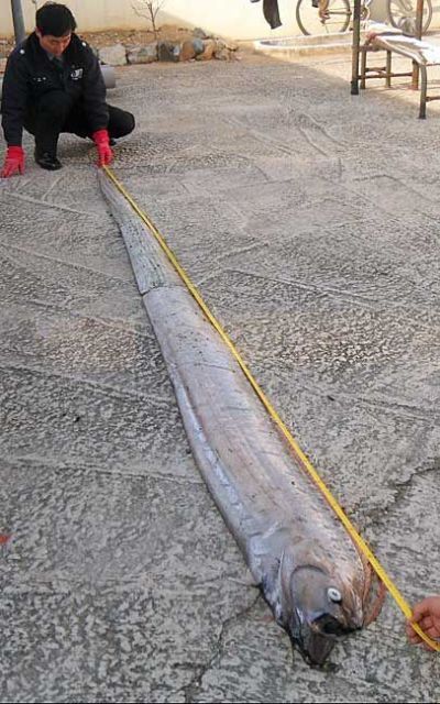 Daily picdump (159 pics)