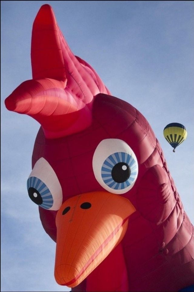 Daily picdump (159 pics)