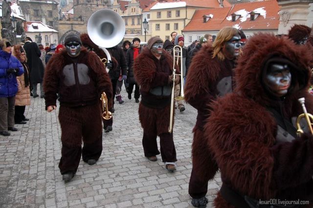 Daily picdump (159 pics)