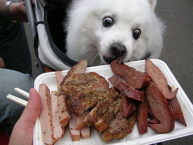 Daily picdump (159 pics)