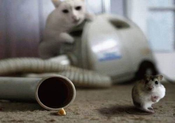 Daily picdump (159 pics)