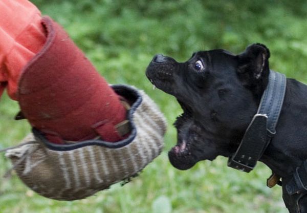 Daily picdump (146 pics)