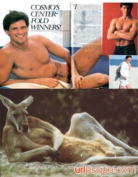 Daily picdump (146 pics)