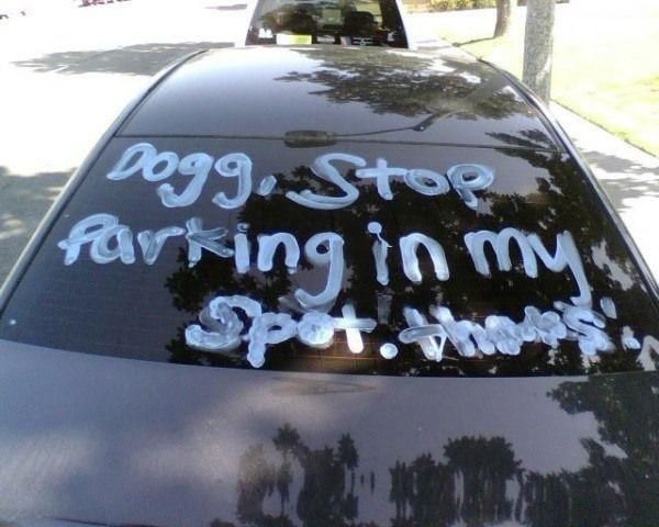 Daily picdump (146 pics)