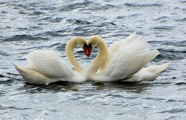 Daily picdump (146 pics)