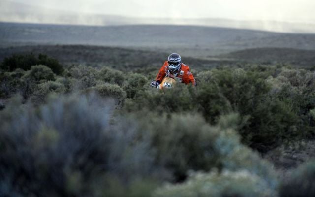 Daily picdump (146 pics)