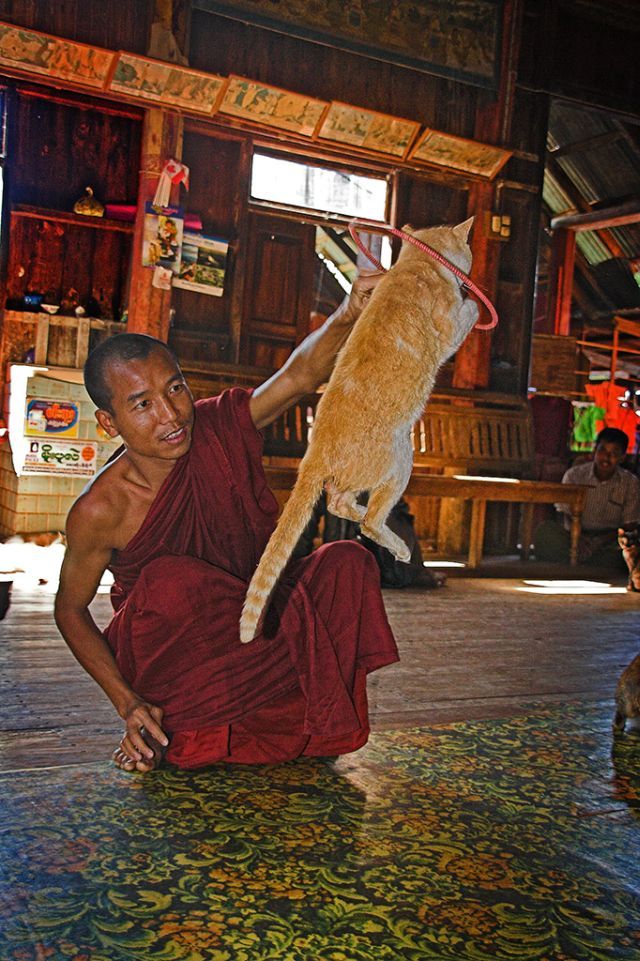 Daily picdump (146 pics)