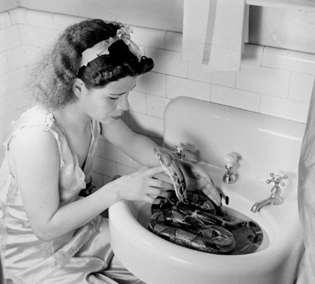 Daily picdump (146 pics)