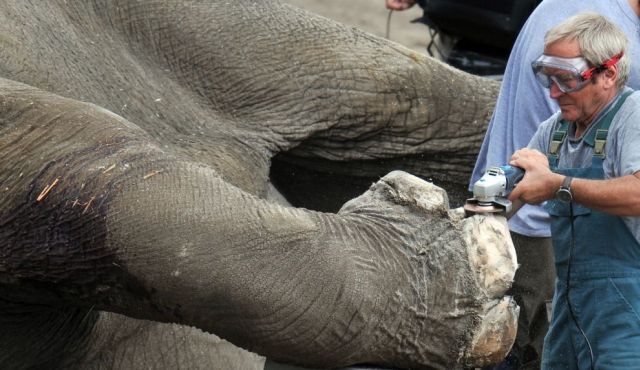 Daily picdump (146 pics)