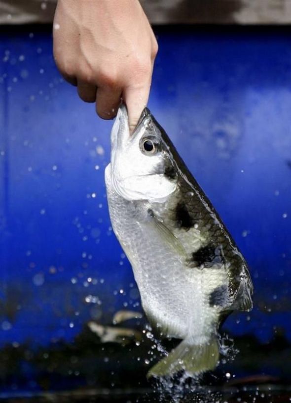 Daily picdump (146 pics)