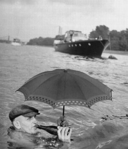 Daily picdump (146 pics)