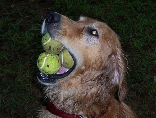 Daily picdump (146 pics)