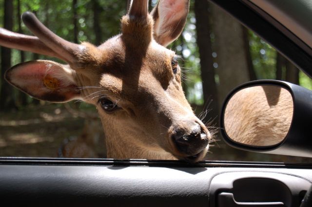 Daily picdump (146 pics)