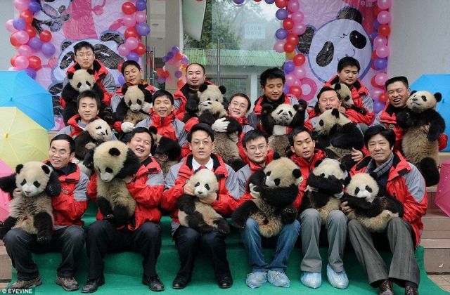 Daily picdump (151 pics)