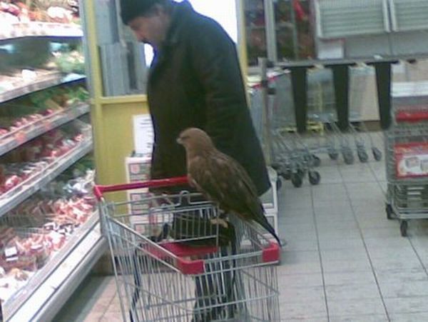 Daily picdump (151 pics)