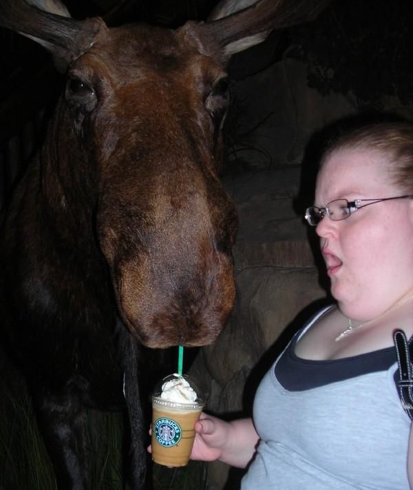 Daily picdump (151 pics)
