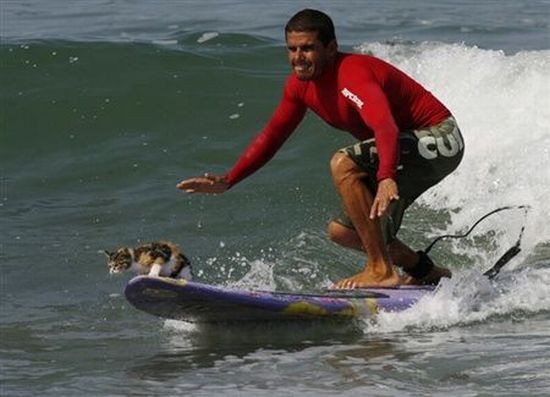 Daily picdump (92 pics)