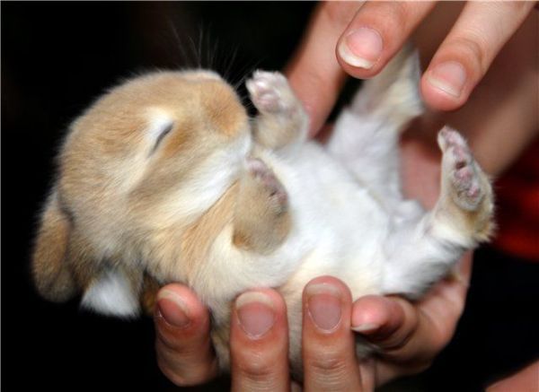 Daily picdump (92 pics)