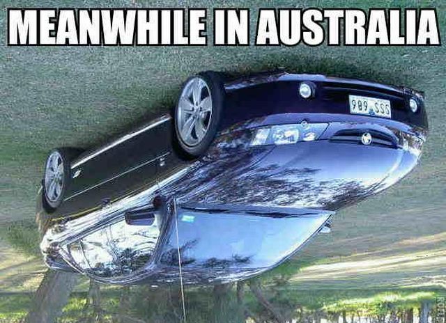 Daily picdump (92 pics)