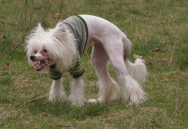 Daily picdump (134 pics)