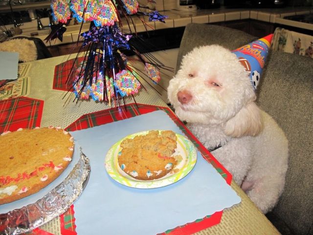 Daily picdump (134 pics)
